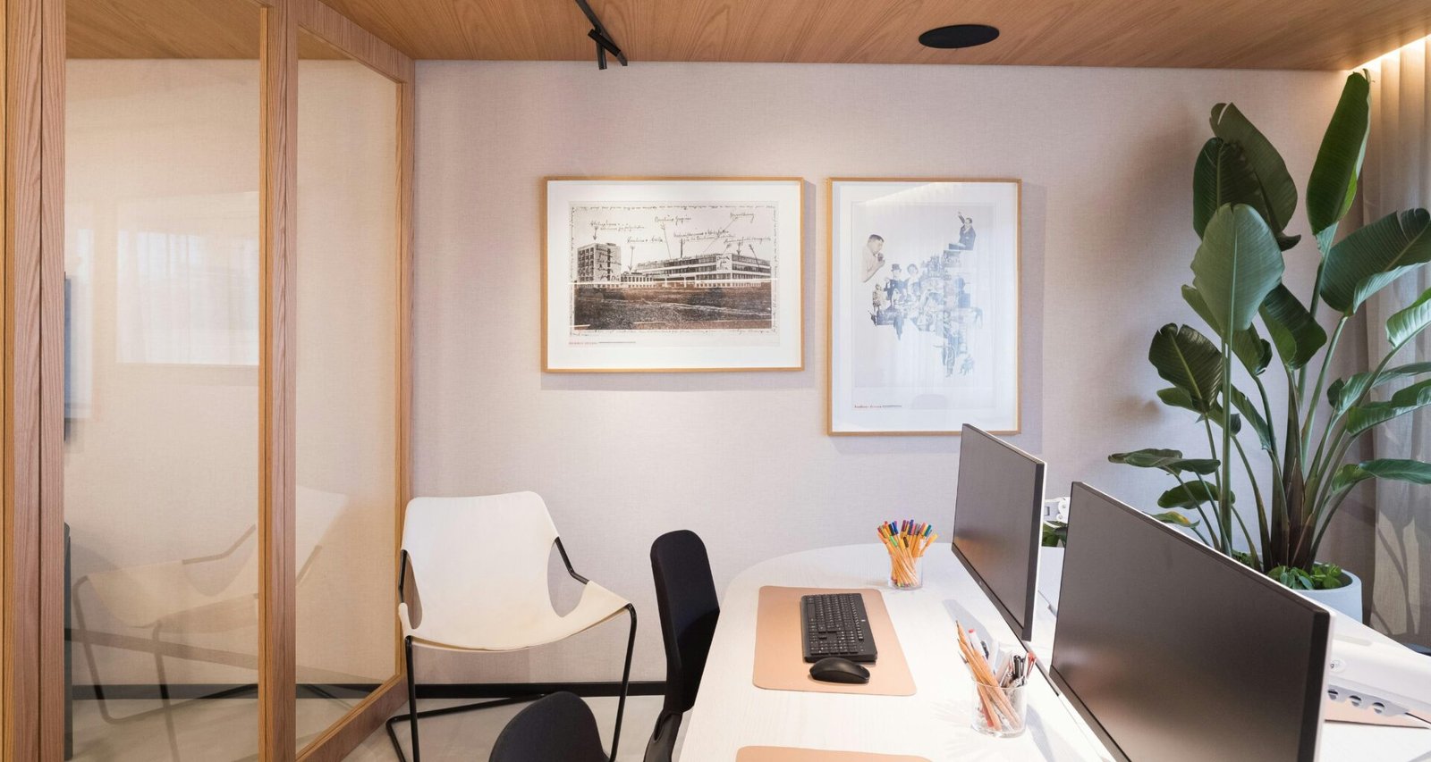 Heller Büroraum mit mehreren Schreibtischen, Computern und grünen Zimmerpflanzen, moderner Arbeitsplatz