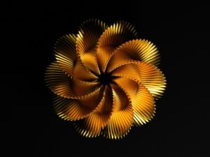 Makroaufnahme einer einzelnen Blume mit Fokus auf die feinen Blütenblätter und natürlichen Details