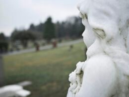 Nahaufnahme einer filigran gearbeiteten Marmor-Engelsstatue auf einem Friedhof, fotografiert von Leo_Visions
