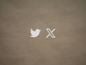Nahaufnahme eines Blattes mit einem aufgedruckten Twitter-Logo, passend zum Thema Social Media und Online-Marketing