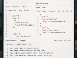 Screenshot der Postman Anwendung mit JSON Transformer Funktion, zeigt API Anfragen, JSON-Antworten und JavaScript-Transformationsskripte