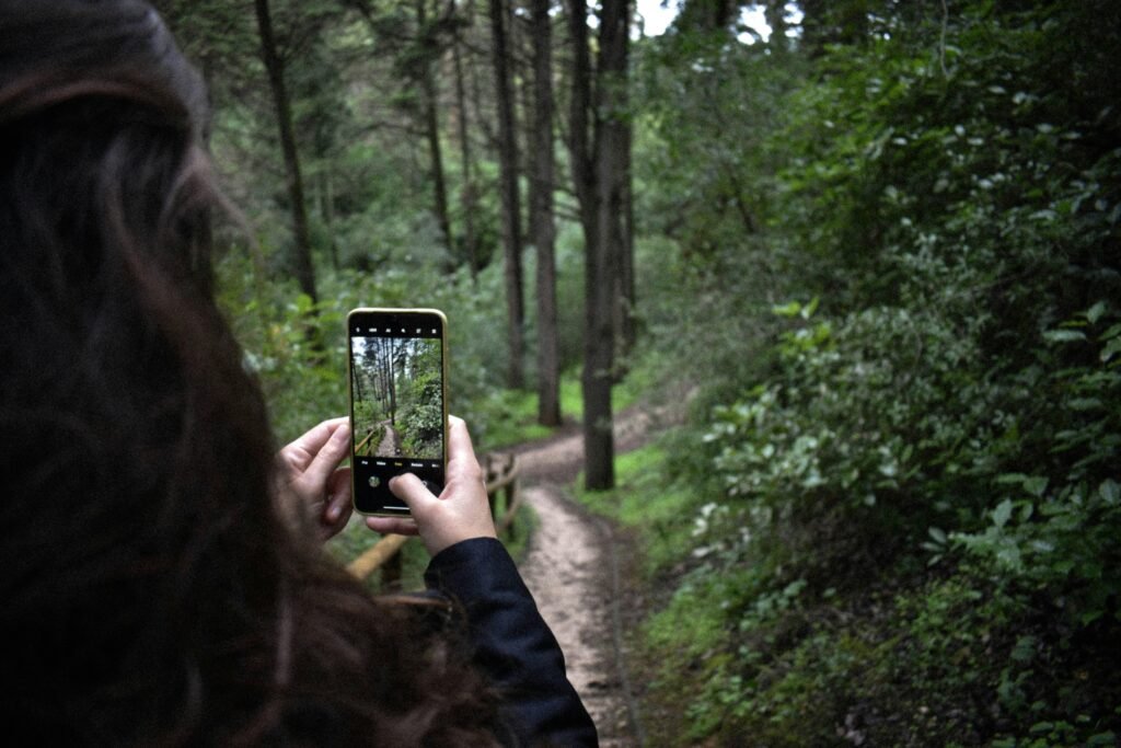 Person nimmt mit dem Handy ein Foto von grünen Bäumen bei Tageslicht auf, im Freien zwischen Natur und Technik