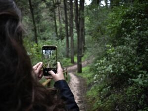 Person nimmt mit dem Handy ein Foto von grünen Bäumen bei Tageslicht auf, im Freien zwischen Natur und Technik