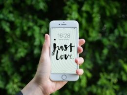 Nahaufnahme von einer Person, die ein silbernes iPhone 6 in der Hand hält, geeignet für Beiträge zu mobiler Technologie.