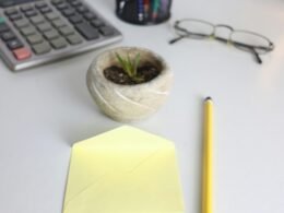 Schreibtisch mit Taschenrechner, kleiner Pflanze, Brille und Bleistift – ideale Ausstattung für konzentriertes Arbeiten in jedem Büro.