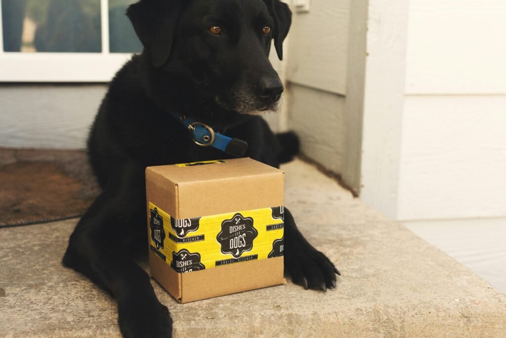 Schwarzer Labrador Retriever Welpe sitzt auf einer braunen Kartonbox vor neutralem Hintergrund.
