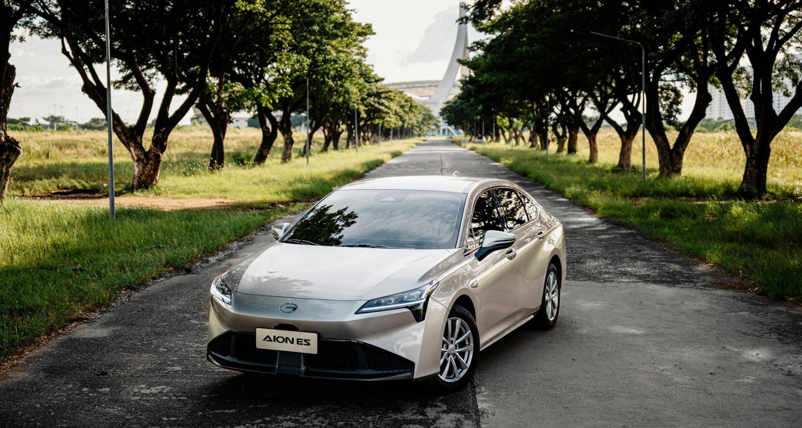 Silberner Sedan steht geparkt auf einer von Bäumen flankierten Landstraße bei Tageslicht