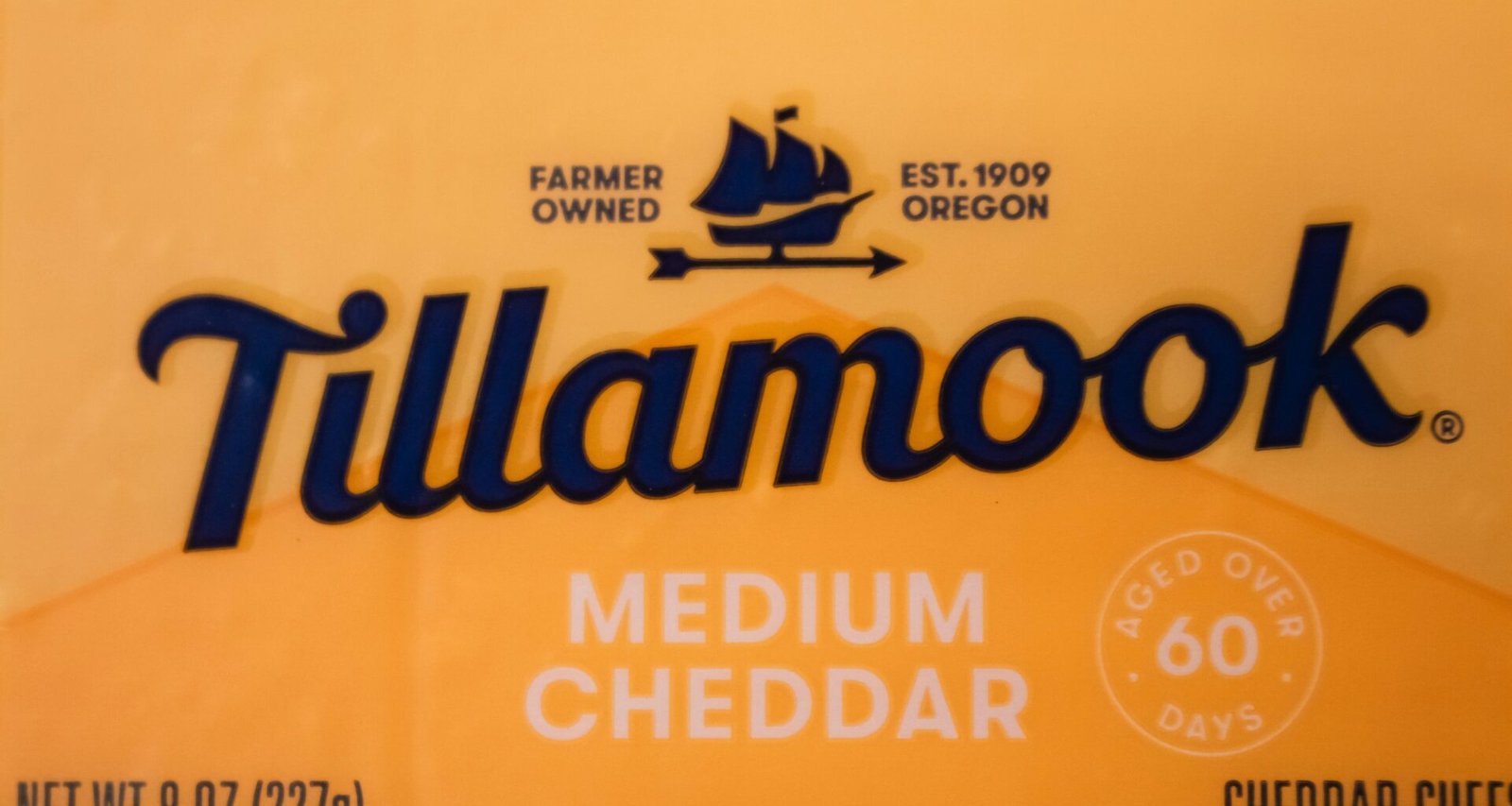 Mittelgereifter Tillamook Cheddar Käse auf hölzernem Untergrund in Scheiben geschnitten, detailreiche Nahaufnahme