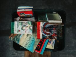 Von oben fotografierte Sammlung verschiedener Bücher in einer schwarzen Aufbewahrungsbox, auf neutralem Hintergrund platziert