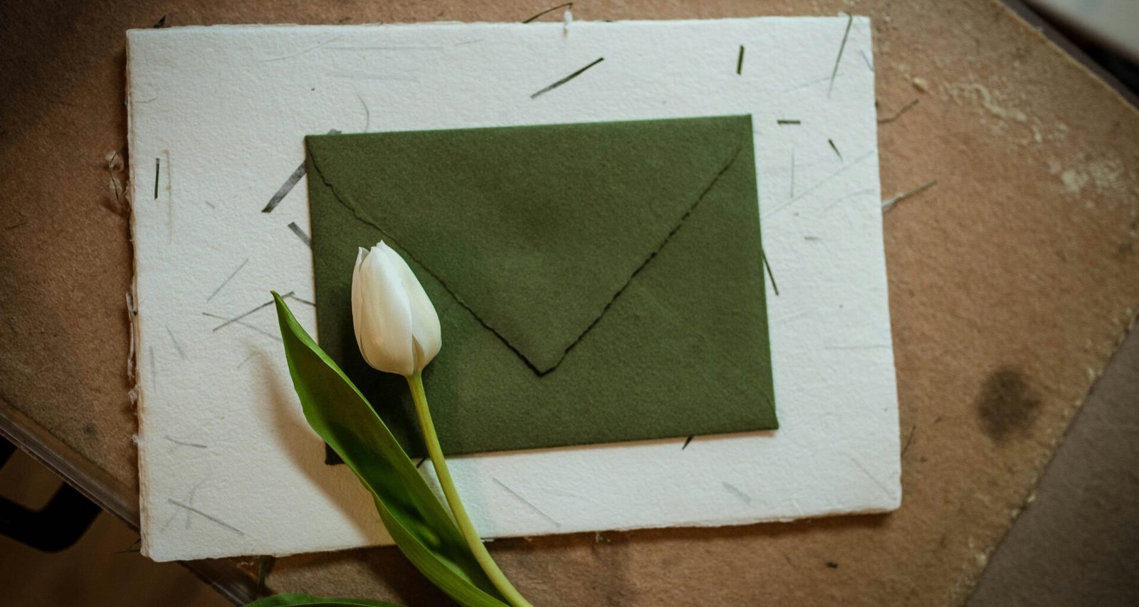 Weiße Tulpen liegen auf einem grünen Umschlag, arrangiert als dekoratives Stillleben für saisonale Dekoideen.