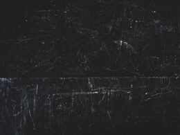 Schwarz-weiße abstrakte Malerei mit organischen Formen, künstlerisch ineinander übergehenden Farbflächen ohne erkennbare Motive