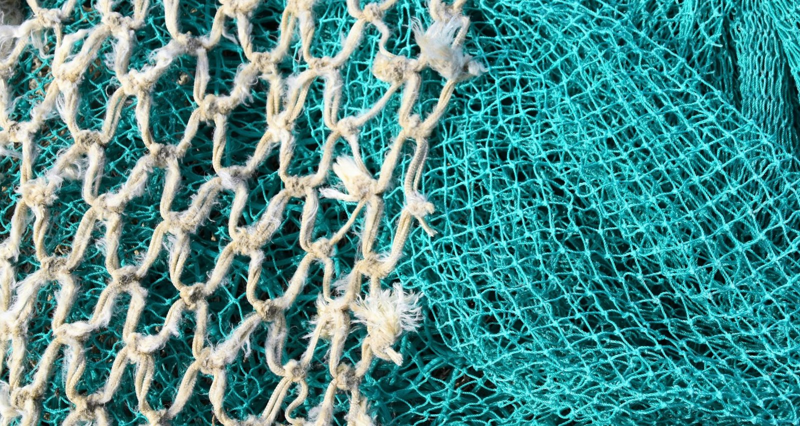 Weiß-blaues Netz in Nahaufnahme, abstraktes Muster als Metapher für digitale Vernetzung im Technikbereich