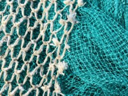 Weiß-blaues Netz in Nahaufnahme, abstraktes Muster als Metapher für digitale Vernetzung im Technikbereich