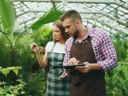 Zwei Personen arbeiten zwischen grünen Pflanzen in einem hellen Gewächshaus mit moderner Ausstattung