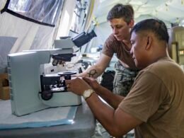 Zwei Personen nutzen ein Mikroskop im Labor, während sie an wissenschaftlichen Untersuchungen und Analysen arbeiten.