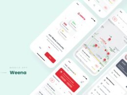 Mobile App Interface mit integriertem Karten-Design und Social Feed, visualisiert auf einem Smartphone-Bildschirm