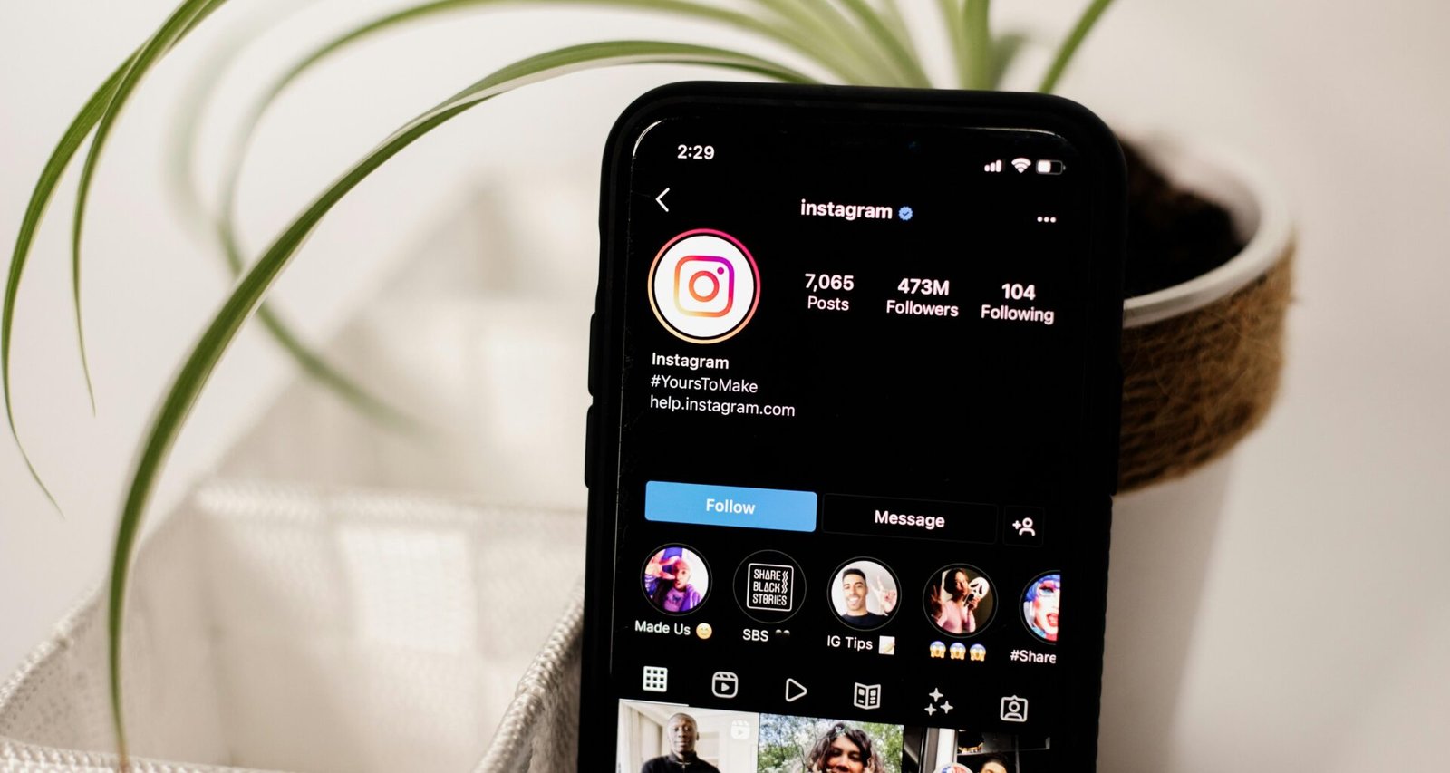 Ein Mobiltelefon liegt auf einem Holztisch neben einer kleinen, grünen Topfpflanze – stilvolles Arrangement für die Arbeitsumgebung.