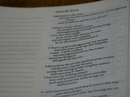 Nahaufnahme eines aufgeschlagenen Buchs mit Gedichttext, Fokus auf die bedruckten Seiten passend zum Artikelthema
