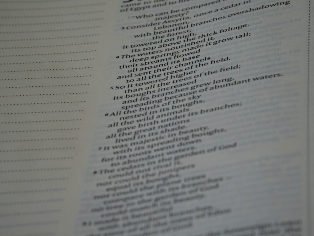 Nahaufnahme eines aufgeschlagenen Buches mit gedrucktem Text auf den Seiten, Fokus auf die Schrift