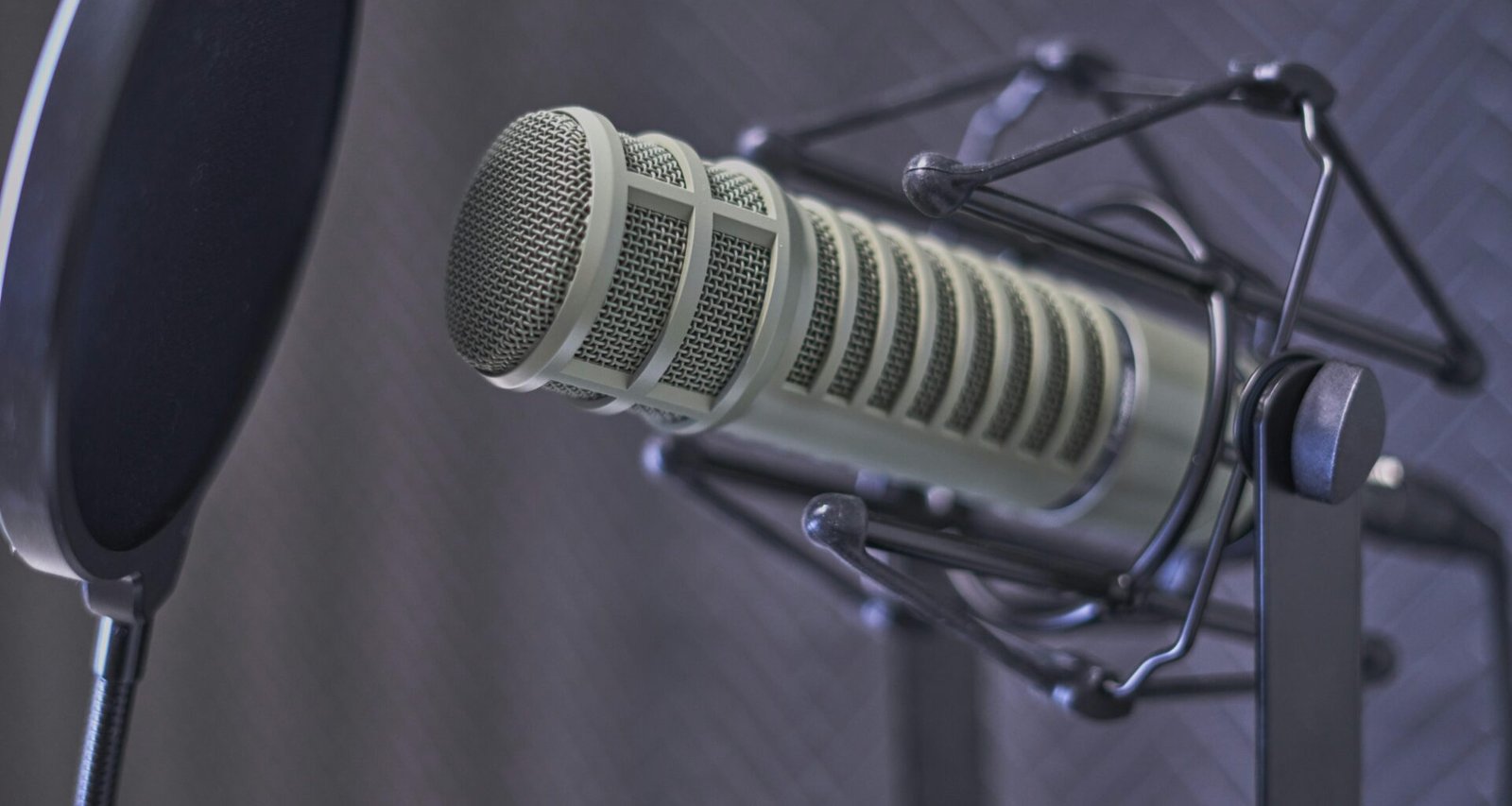 Graues Kondensatormikrofon mit Popschutz, ausgerichtet für hochwertige Audioaufnahmen im Studio oder Homeoffice.