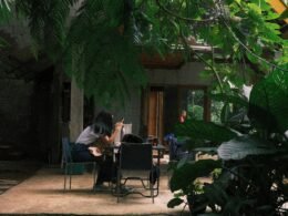 Menschen sitzen an mehreren Tischen in einem von vielen Pflanzen beschatteten Open-Air-Café und unterhalten sich.