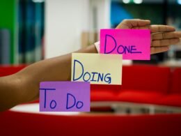 Eine Person hält eine violett-pinke Box in den Händen, als Beispiel für modernes Verpackungsdesign