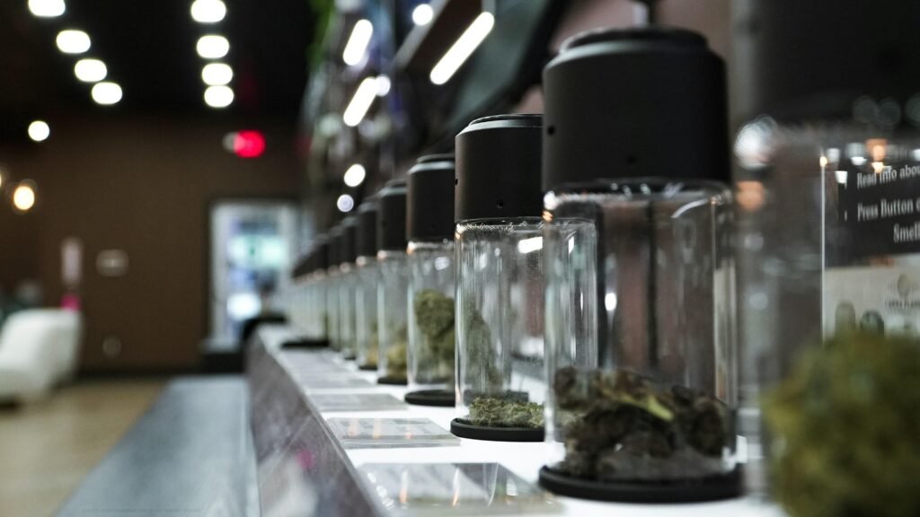 Mehrere Glasbehälter gefüllt mit getrockneten Cannabisblüten, dicht nebeneinander aufgereiht in einem Regal