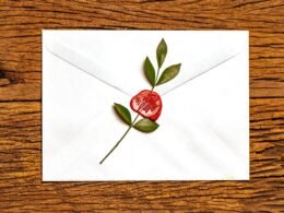 Rote Rose liegt auf verschlossenem weißen Briefumschlag als zentrales Element im Fotomotiv.