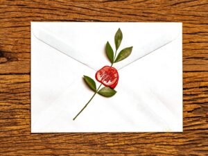 Rote Rose liegt auf verschlossenem weißen Briefumschlag als zentrales Element im Fotomotiv.