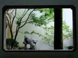 Ein dekoratives Fenster eröffnet den Blick auf einen friedlichen Garten mit grüner Vegetation im Hintergrund.