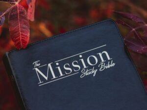 Schwarz-weiße Victoria's Secret Geldbörse aus Leder auf hellem Hintergrund, minimalistisch in Szene gesetzt