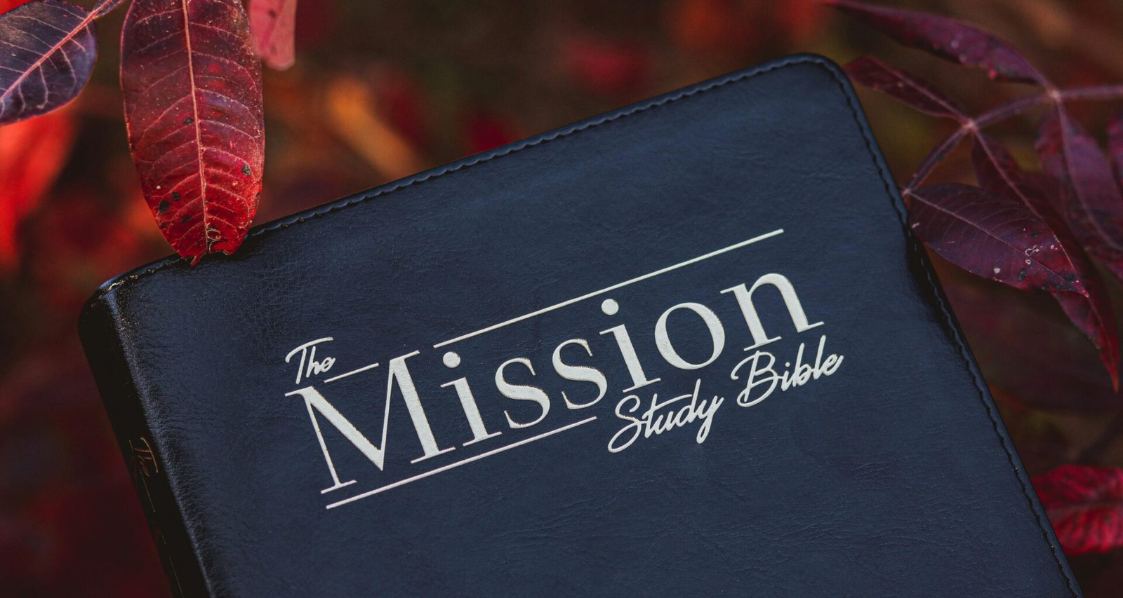 Schwarz-weißes Victoria’s Secret Leder-Portemonnaie, schlicht gestaltet und auf einer neutralen Oberfläche platziert